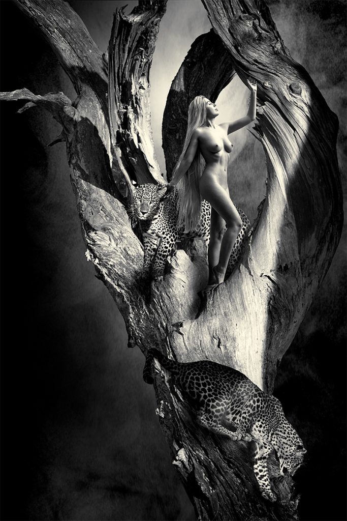 Climbing The Tree Of Life