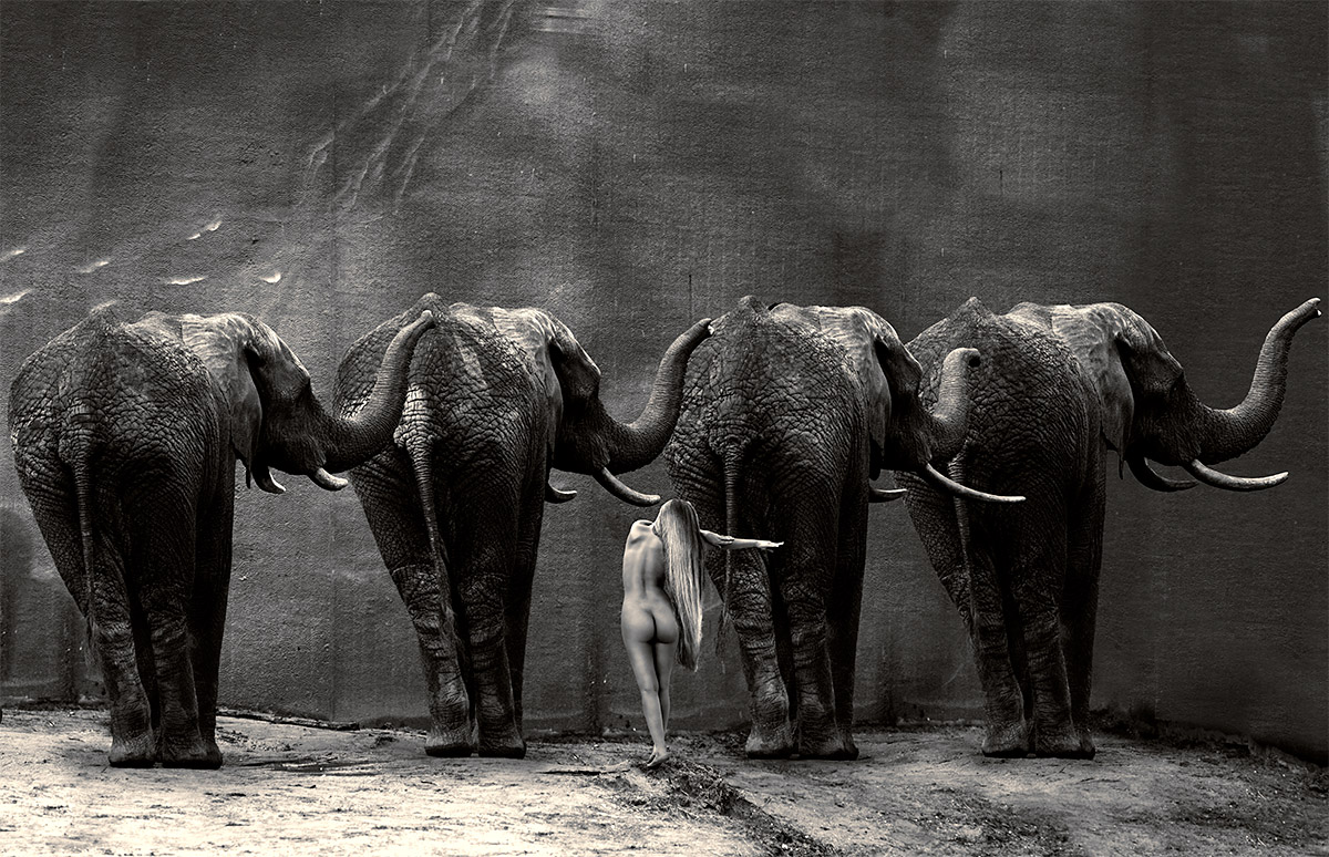 Four Of A Kind