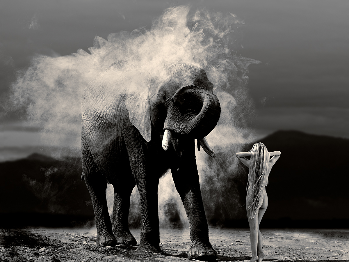 Giant's Dust