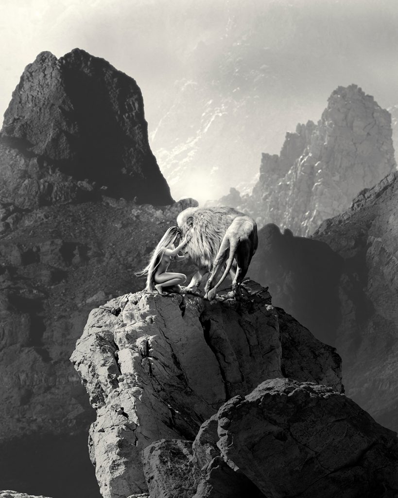 Mirador Closeup
