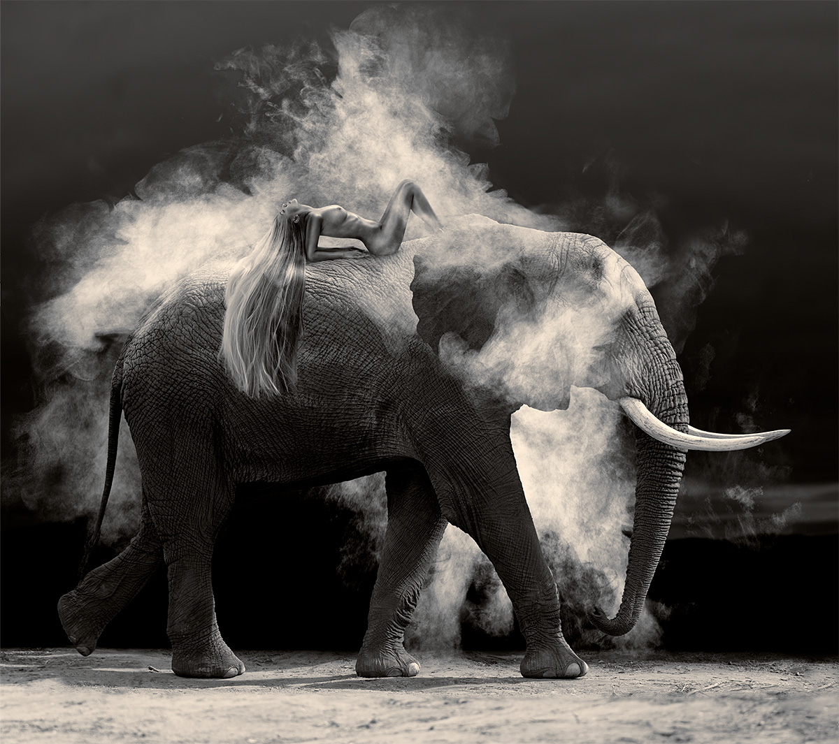 Nude Elephant Dust