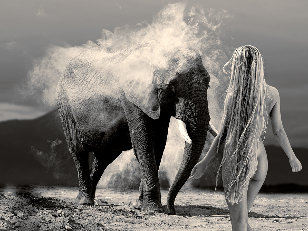Sharing Nature
