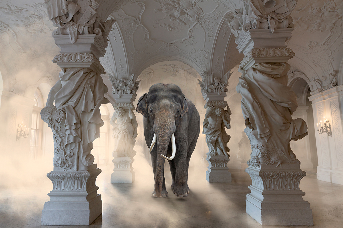 elephant inside palace
