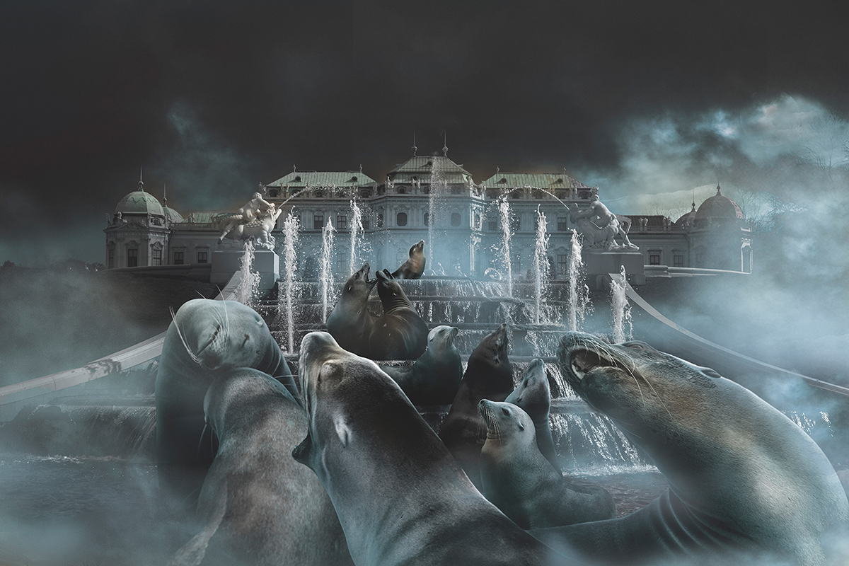 Seals at a palace