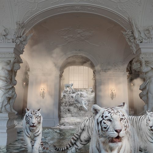 white tigers in palace from treasures series