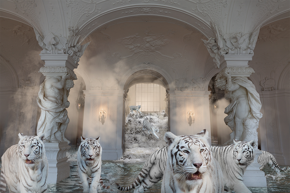 white tigers in palace from treasures series