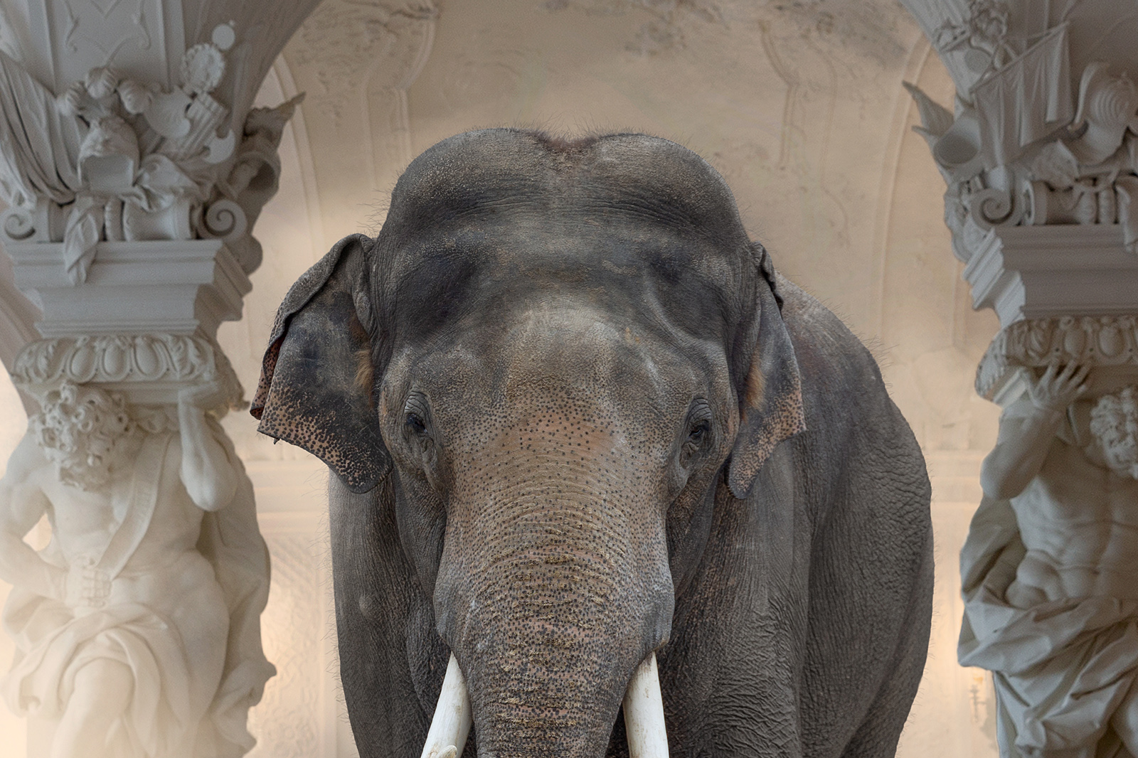 detail elephant in palace