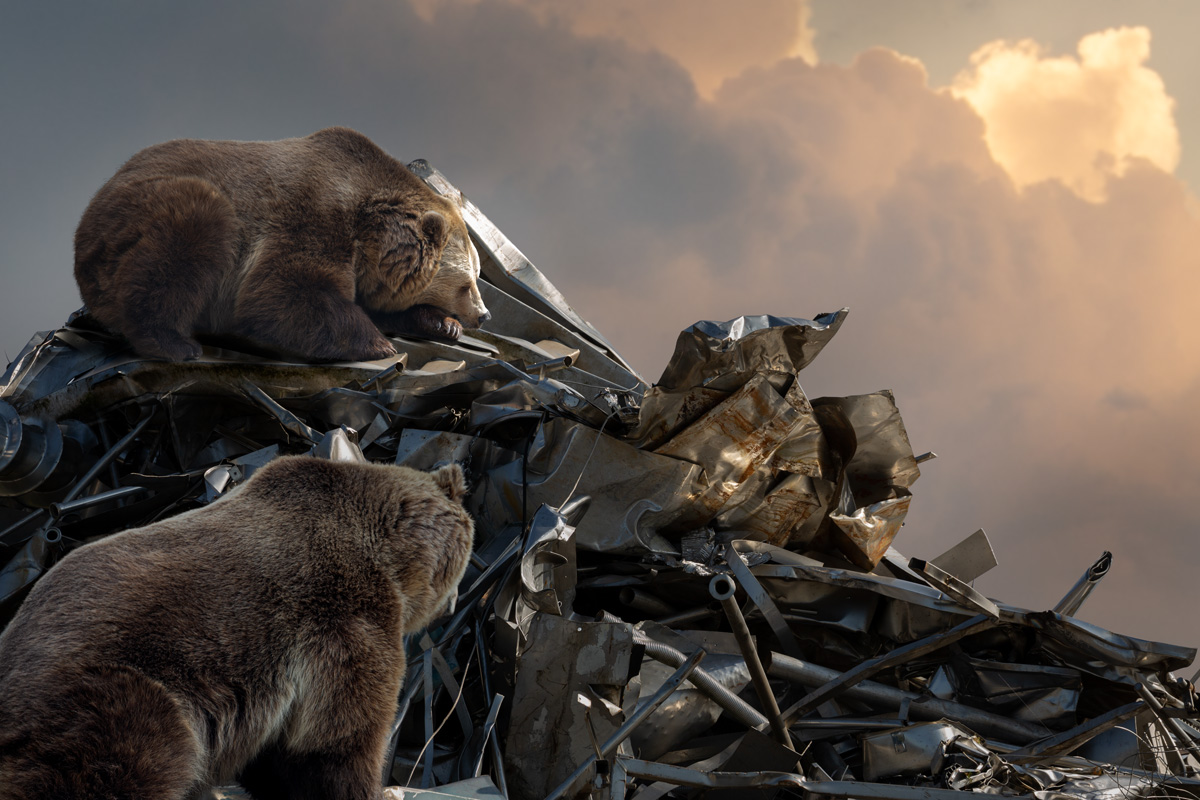 bears on scrapheap