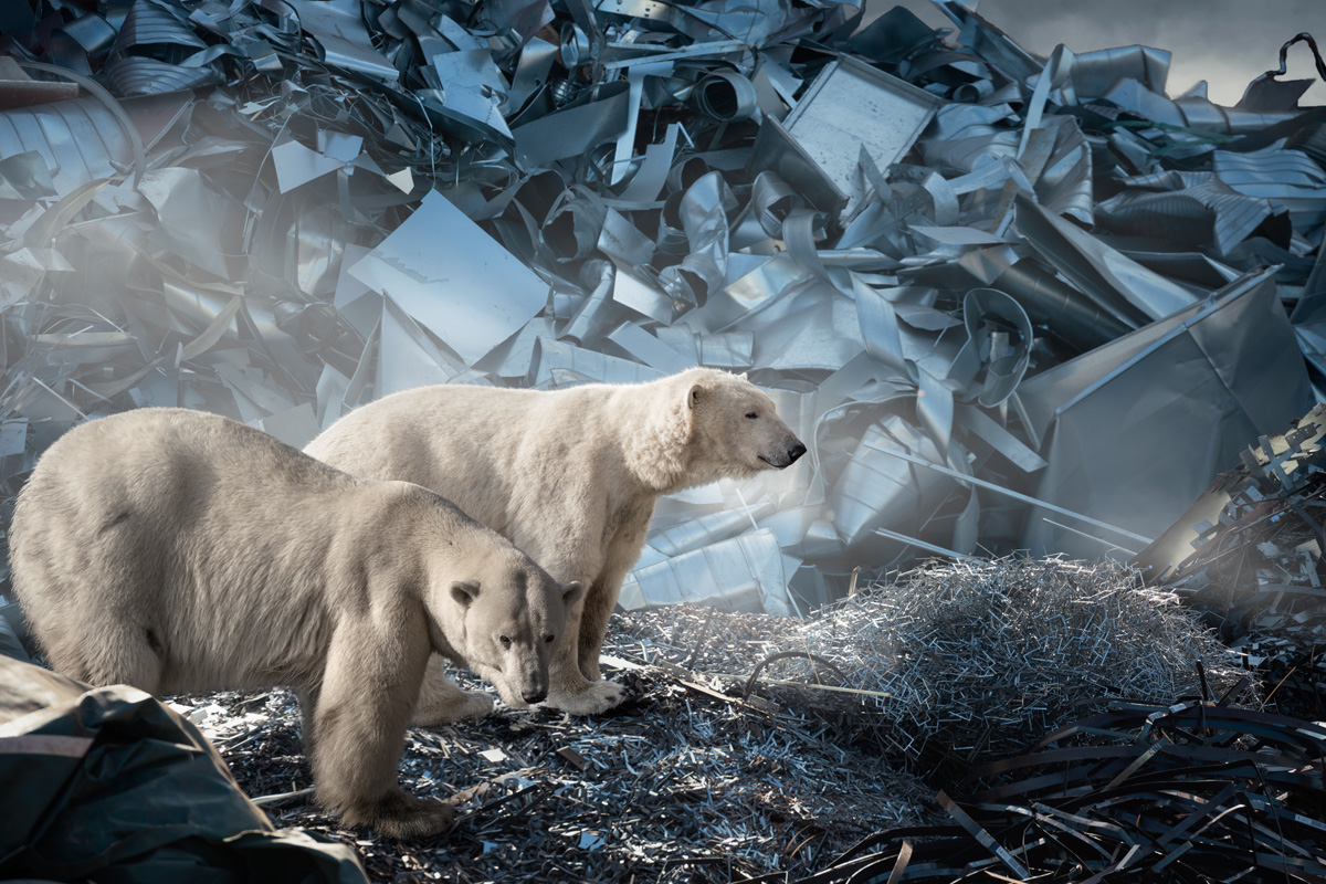 Polar bears surrounded by a scrapheap landscape