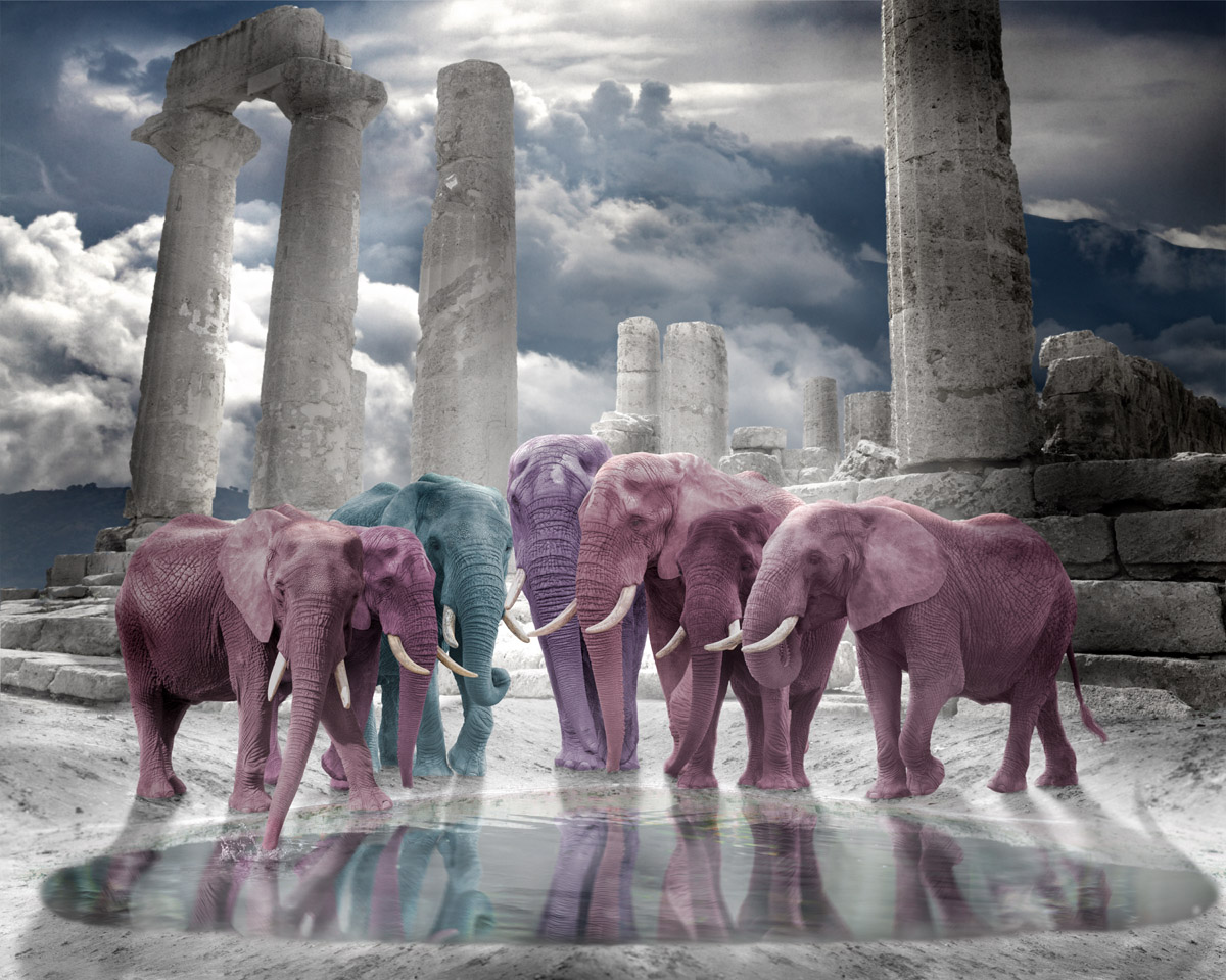 pastel elephants with temple in background