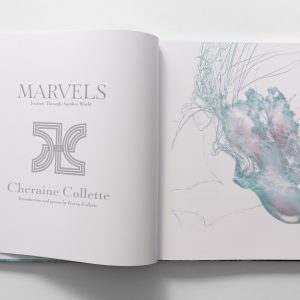 marvels book inside