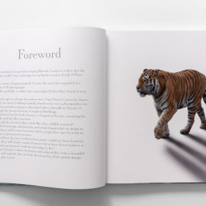 marvels book inside foreword
