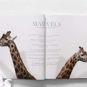 marvels book inside