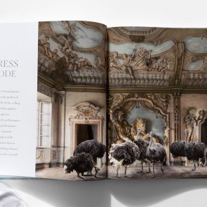 marvels book inside