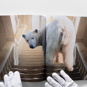 marvels book inside detail