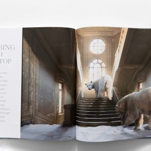 marvels book inside