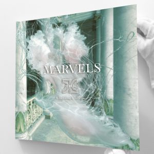 marvels book cover