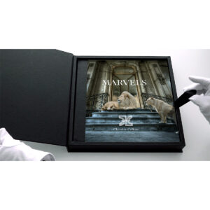 MARVELS - LIMITED EDITION With Clamshell Box - Image 2