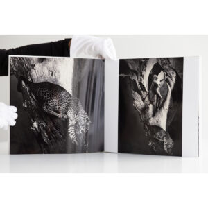 WHERE IS ADAM? - LIMITED EDITION With Clamshell Box - Image 6