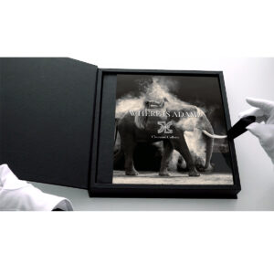 WHERE IS ADAM? - LIMITED EDITION With Clamshell Box - Image 2