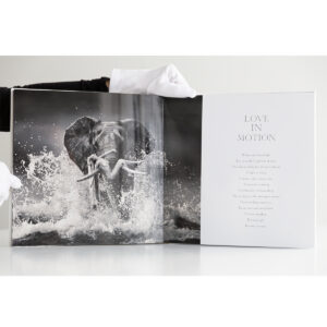 WHERE IS ADAM? - LIMITED EDITION With Clamshell Box - Image 7