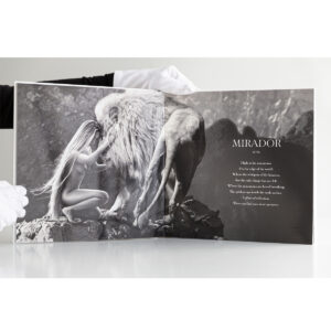 WHERE IS ADAM? - LIMITED EDITION With Clamshell Box - Image 8