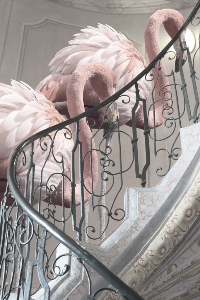 two flamingos and stairs close up