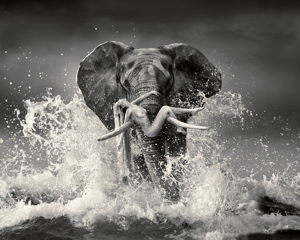 woman being carried by an elephant in the water