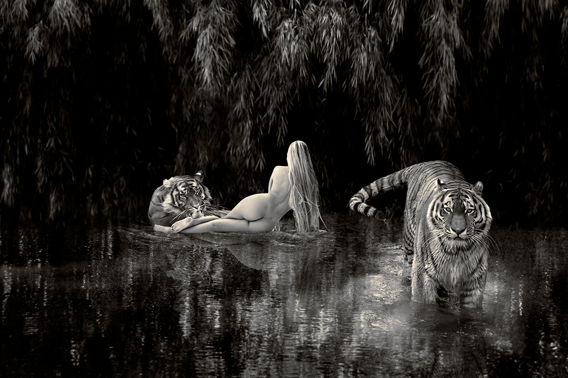 a woman bathing with tigers