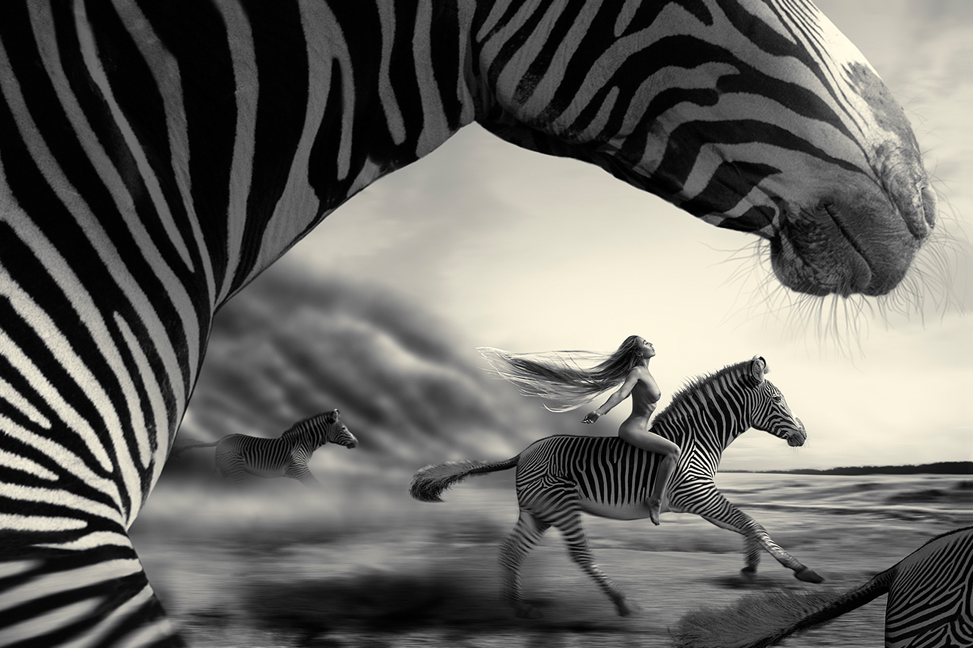 Woman riding a zebra