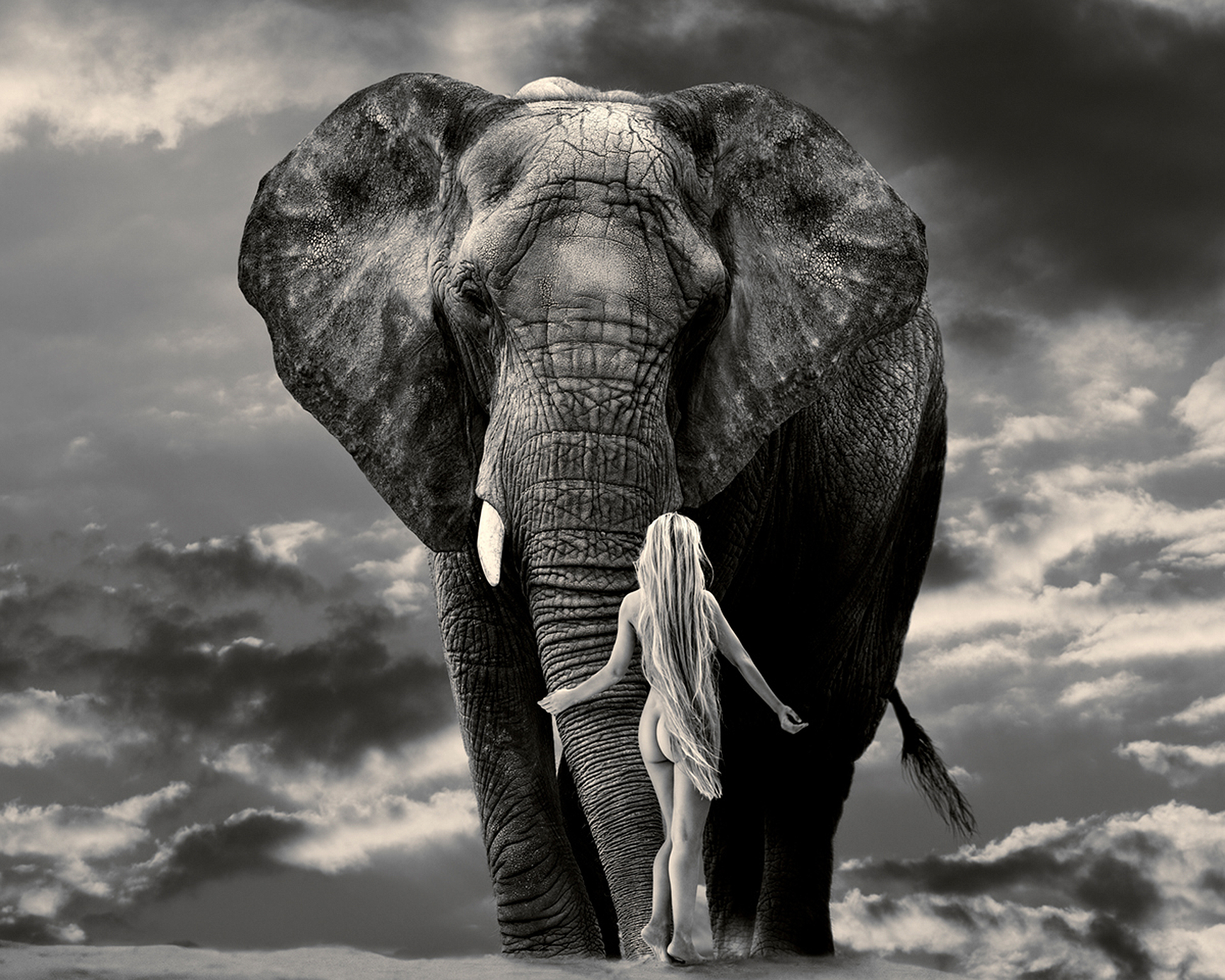 Woman hugging an elephant