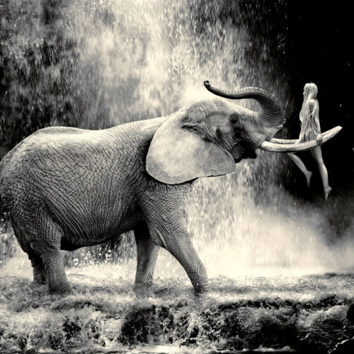 woman and elephant at a waterfall