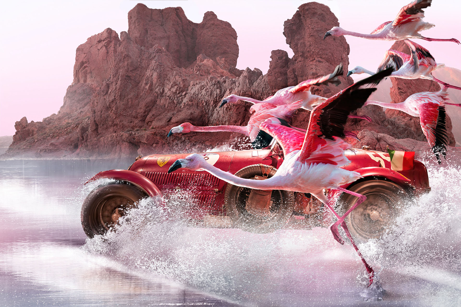 Alfa Romeo 8C 2900A with running and flying flamingos