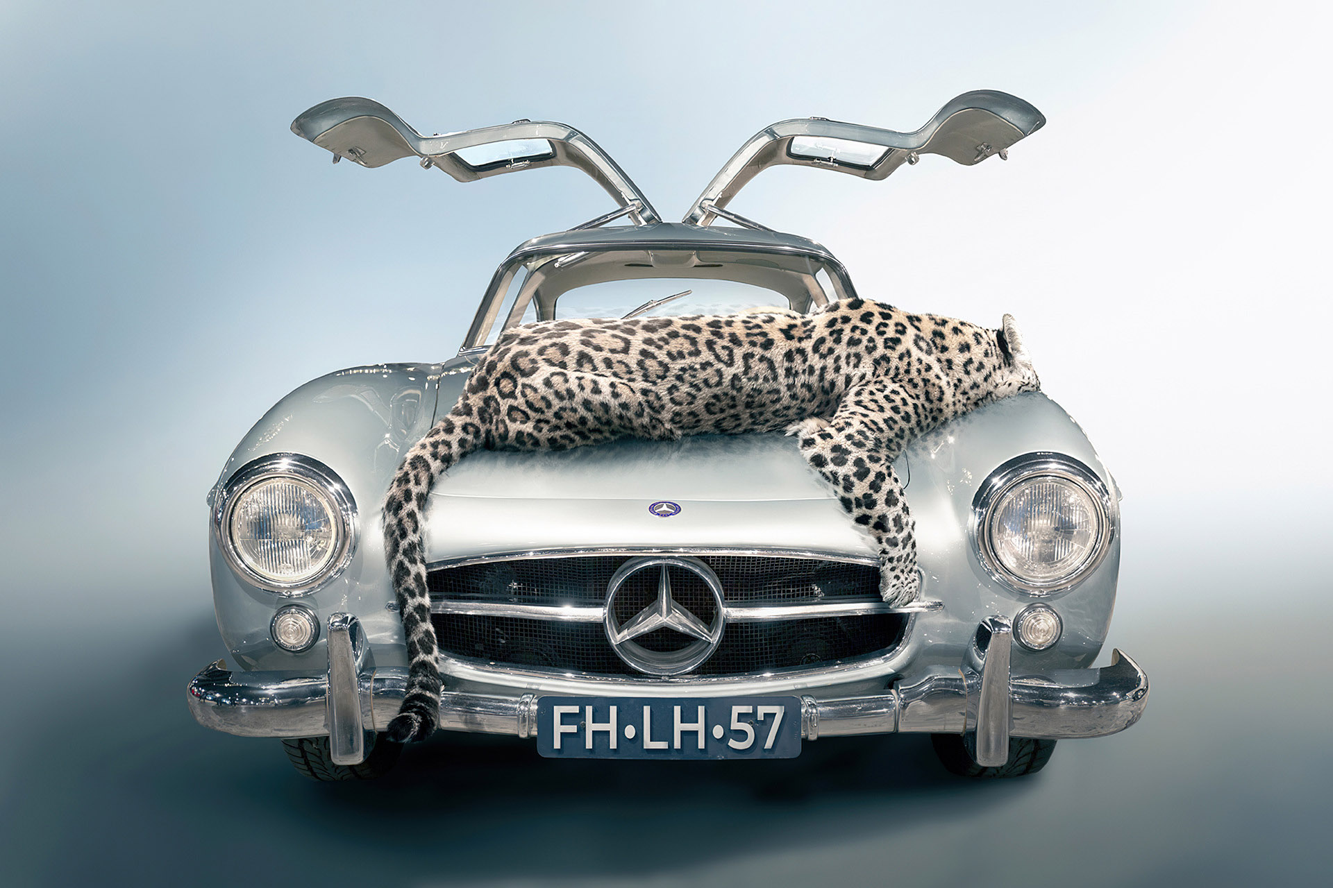 mercedes benz 300sl gullwing with a leopard lying on the hood
