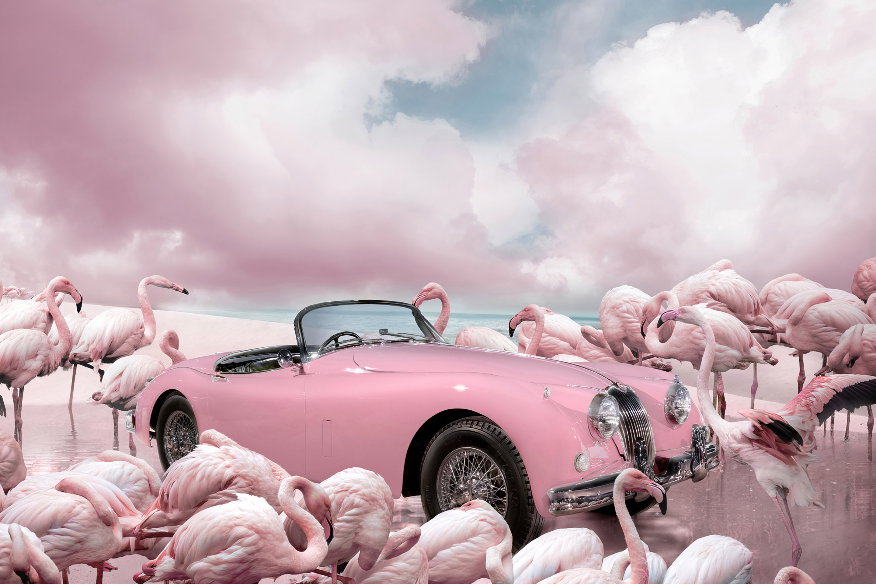 pink jaguar car surrounded by flamingos on a beach