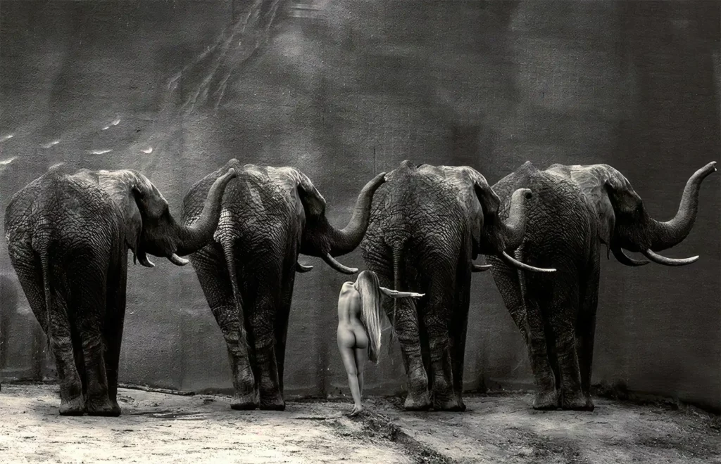 woman posing with elephants